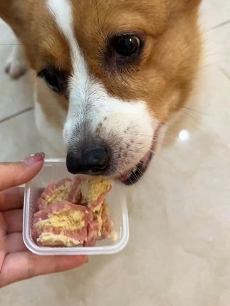 今年中秋,狗子当然也要一起吃月饼啦 毛孩子也是我们家庭中的一份子像这样团圆的日子里,当然也要有狗子的一份月饼吃啦玉桂冰皮肉松+萌趣米皮一次集齐6个口味!别的狗子有的,我的毛孩子也要拥有啊我怎么舍得让她去羡慕别人家的小狗呢#宠物月饼礼盒 #小狗月饼 #狗狗月饼 #kingdog宠物餐厅 #kingdog宠物餐厅萌宠月饼
