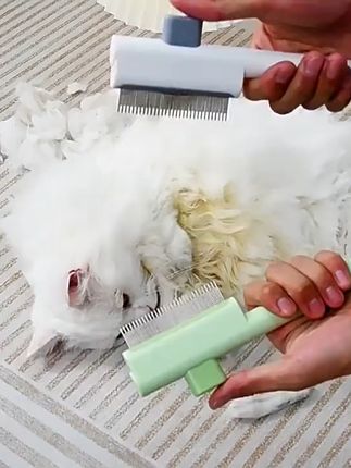 再也不怕毛球缠绕!一键搞定猫咪脱毛难题 猫咪长了打结、缠绕的毛发太难受?这款神器轻松解决!#谁还没有一只小狗手提挂件#宠物交流按键真是养宠人的福音#偶遇会滑滑板的小狗