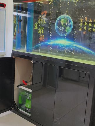 家里养鱼烦恼多?这款鱼缸一键排污太方便! 国庆节有活动