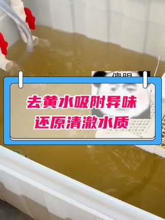鱼缸黄水?这款净水宝轻松搞定! 使用便捷,去黄水效果好,可重复利用。#净水宝 #蛋白棉 #去黄水