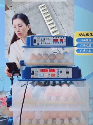 孵小鸡超简单!来直播间吧,主播给你轻松成功孵化! 今天下午有8折活动!下单就送运费险!可以放心拍了!#好物推荐🔥 #孵化器 #全自动孵化器家用 #实用好物 #孵化设备