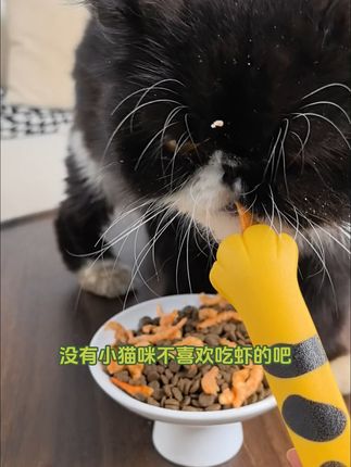 家里有小猫一定要试试这个冻干!它能帮助小猫快速成长!#萌宠#萌宠好物#宠物零食#猫冻干#你难道不想拥有一只猫咪吗