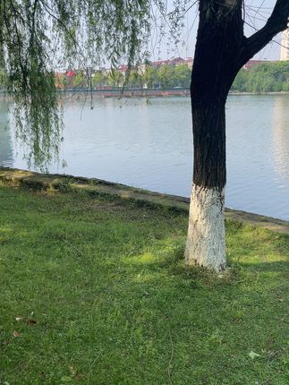穿这双布鞋,脚不臭还能轻松退换! 今天下单,运费险活动!可以免费退了!!!#夏日通勤休闲穿搭 #夏日穿搭有这搭配公式就够了 #不见得无袖就等于不好看 #新中式就是男生最好的医美 #毫不费力的夏秋过渡穿搭