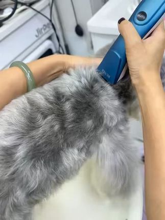 这个季节一定要把家里的小狗狗修剪一下了!这款电动推子包邮到手,还有运费险哦~#萌宠好物 #狗狗 #科学养宠攻略 #宠物美容 #宠物剃毛器