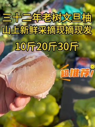 又到了可以吃柚子的季节! #文旦柚 #文旦柚的正确打开方式 #又到了吃柚子的季节 #应季水果 #舌尖上的抖音:丰收的味道在抖音 