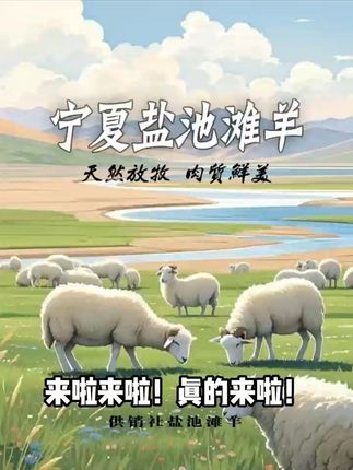 鲜美滩羊,一口嫩滑,全家人都爱的美味! 今天又做了满满一锅的手把肉,吃起来特别方便,味道也很好,非常鲜美的口感,还保证了食材的新鲜度,是真正的地道做法。煮出来的肉质非常的嫩,喝汤也很爽#各省有自己的丰收美食 #与辉同行 #东方甄选 #十五的月亮石榴圆 #秋日人生照片还得是琥珀流光风