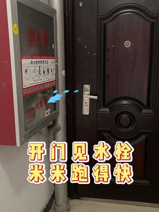 想让家里的风水变好?试试这招!#好物推荐🔥#家居好物#摆件#家居摆件#国学文化