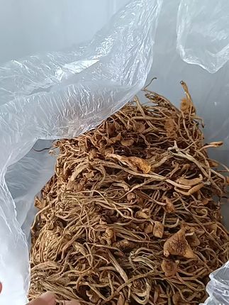 茶树菇炖汤鲜美,家常美味就这么简单! 今天又收了满满一车干货!有需要的朋友赶紧下单吧!!!#优质农产品#家乡特产#香菇#菌菇#被新农人的打卡视频馋到了