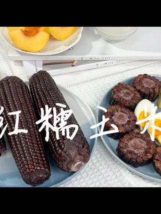软糯多汁玉米,全家人都爱的健康零食! 又到玉米季!这种玉米你们喜欢吃吗?欢迎评论区留言。#纯绿色食品吃起来非常健康 #早餐搭配推荐 #有机农业 #红糯玉米 #花青素含量高 