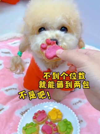宠物爱不释口的秘密武器!营养增肥猫咪狗狗都爱的冻干零食 冬天来了,毛孩子也要多吃肉补充能量了!这款冻干零食超棒!