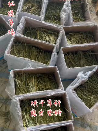 养兔必备!草料充足,包邮退货无忧 冬天来了!小兔子一定要吃这种干燥的草料了!包邮到家还有运费险哦~#萌宠#兔子#科学养兔#养兔人#宠物兔