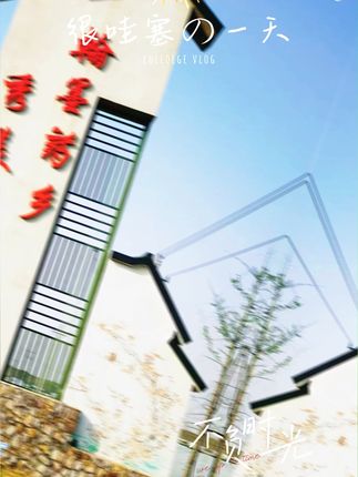 正宗原产地莒县库山丹参 