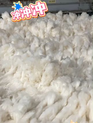 家里换季必备!新疆长绒棉被,免费退超安心 今天下午四点半开始拍一床好物!运费险活动,不想要也可以退回去哦~#用AI还原家的美貌 #用cortis打开一平方新美学 #当你的家开启女生模式 #包好睡的秋季卧室好物 #家里普通一平方美学就不普通