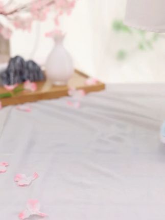 新款女式旗袍鞋 春季坡跟 汉服绣花增高复古茶艺师鞋 #网纱坡跟鞋#古风鞋 #汉服鞋 #民族风绣花鞋 #软底软面穿上超舒服