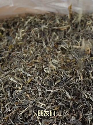 勐库古树春茶,一口鲜爽唤醒你的春天! 云南大叶种发酵熟茶,口感醇厚顺滑,喝起来很舒服!#麻黑古树#茶王树#普洱茶#中秋送礼#你的中秋团圆搭子前来报到