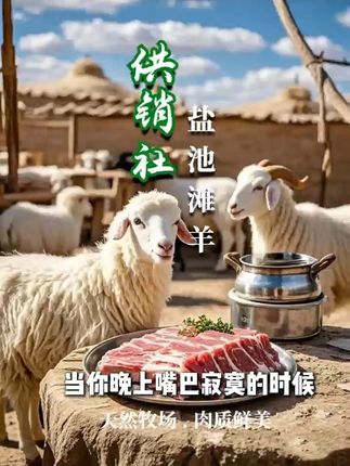 羊肉爱好者必看!正宗盐池滩羊排,不满意可退哦! 今天又给大家找到了一款好物!这款肉质鲜美、口感细腻的好东西,现在下单还有运费险哦~#一人多角演绎苏超各个城市#十三太保卷到糕点界了#没有云南人能拒绝薄荷炸排骨#这个夏天用空气炸锅实现烤串自由#谁能拒绝夏天来顿辣火锅