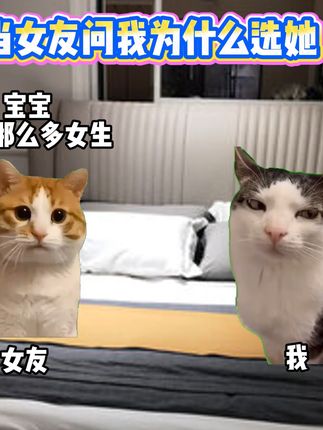 当女友问我为什么选择她 #猫meme #抽象 #二次元 #搞笑 #猎奇