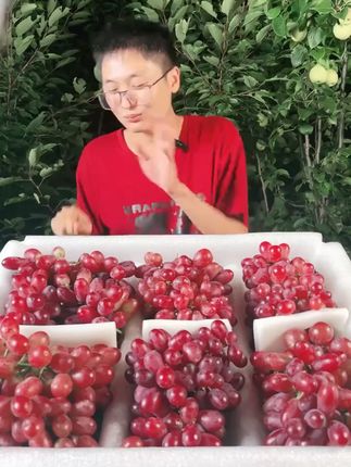 无籽葡萄汁多甘甜,坏果包退无忧尝鲜 每天摘多少发多少,新鲜度有保证哦!有运费险哦~收到货不满意可以直接退哈~#总有一种味道能让你想起故乡 #跟着洪剑涛开启新疆逛吃之旅 #周笔畅拉宏给蔬菜花写歌 #装西瓜挑战 #跟着董宇辉弹西瓜