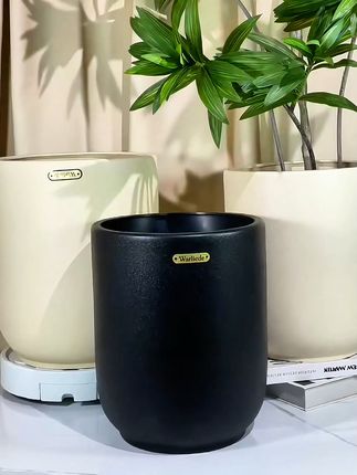 家里角落终于有生机!大口黑金刚花盆,包邮可退太安心 简约百搭的茶杯盆也太好看了吧,两种颜色,两种尺寸可选!还有运费险呢~可以放心入!!#花卉绿植 #好物推荐🔥 #家居好物 #绿植盆栽 #阳台种植