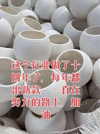 小空间大美感,这款花盆让绿植变身家居艺术品! 家里养植物总担心没合适容器?这款高颜值、高品质花盆帮你解决!#三农#花卉绿植#发财树#室内盆栽#花盆