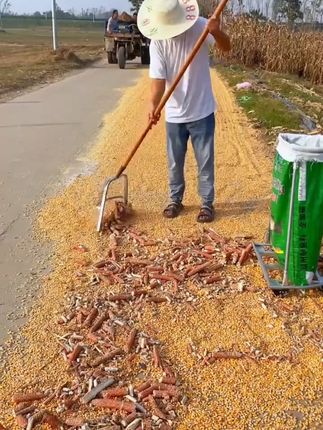 好物推荐,铁锹筛子,神奇工具 #农忙秋收 #农具神器 #在拍一种很新的vlog 