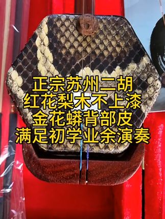 学二胡就怕音不准?这家苏州二胡音准又响亮! 想学习民族音乐却不知咋入手?这款乐器帮你搞定!#夏日度假必备好物#轻松拿下音乐节efit时髦装备#各地cos玩家已解锁新装备