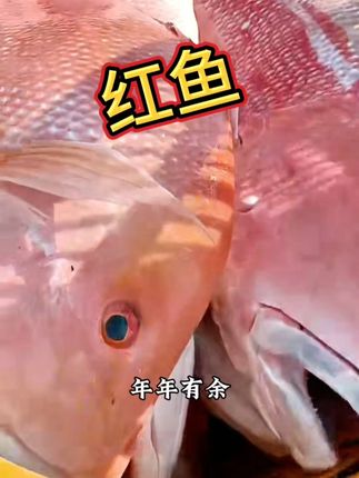 海边的味道!儋州红鱼干鲜美整条享不停 #海南 #美食 