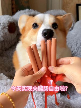 #狗狗火腿肠 #萌宠好物 #宠物零食 #吃货狗子
