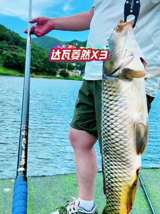 轻量,韧性还足的达瓦菱然X3 #大综合竿 #鱼竿渔具 #鱼竿 #钓鱼