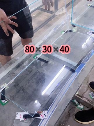 别再犹豫,选择金晶五线超白鱼缸,满足你所有幻想! #水族 #超白鱼缸 #溪流缸 #桌面鱼缸 #纯手工打造