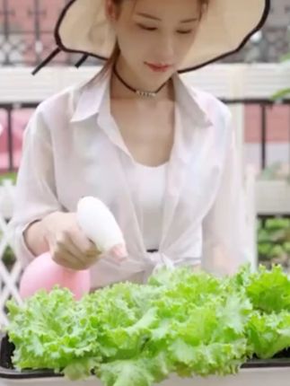懒人花盆自吸水免浇水培种菜盆特大号长方形绿箩阳台长条塑料简约#好物推荐 #花盆 #简约