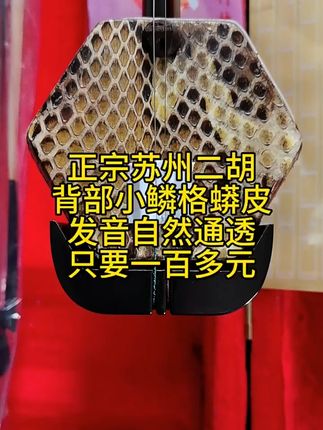 学会这招,轻松搞定二胡考级! 想学好民族音乐却没合适工具?这款乐器帮你解决难题!