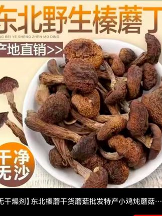 头茬榛蘑今天又便宜 #头茬榛蘑 #榛蘑