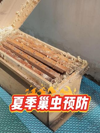 养蜂必备!巢虫清干净 一年几块钱,轻松除巢虫。大品牌,效果看得见。#巢虫清木片 #振兴巢虫清木片