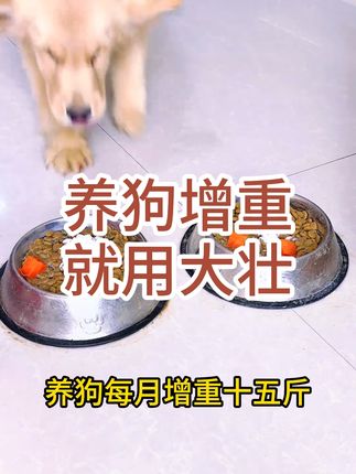 养狗增重,拉大骨架的看过来 #养狗 #养狗的乐趣 #养狗人 #养狗日常