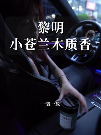 车里飘着森林香,香薰就选它! 车里没有香味太难受?这款香薰有运费险!不喜可退!#车载香薰#汽车好物#车载好物#车内异味#香香好物分享