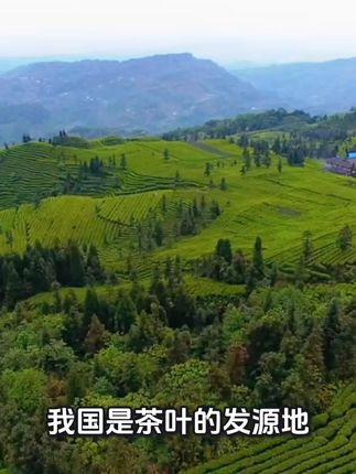 牙疼救星!五分钟缓解肿痛清洁口腔神器 保护牙齿的草植