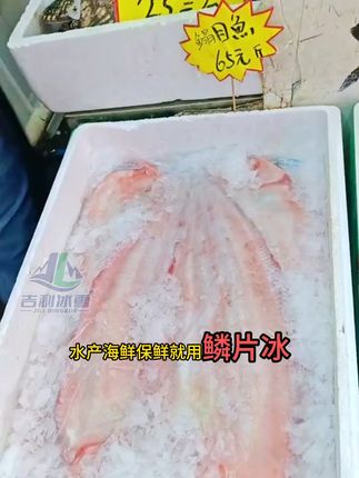 吉利冰雪片冰机工厂,日产量200公斤-5吨 #片冰机 #吉利冰雪 #制冰机工厂 #200公斤 #厨具