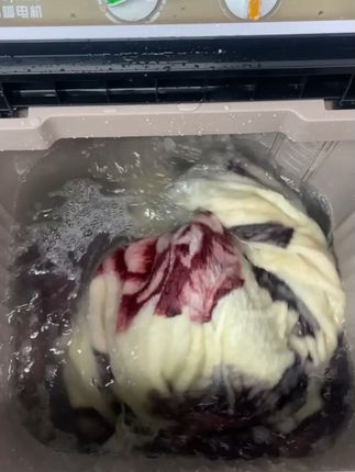 双缸洗衣机!家里商用都方便,还能免费退哦! 有需要赶紧冲吧!!#好物推荐🔥 #洗衣机 #居家好物 #双缸洗衣机