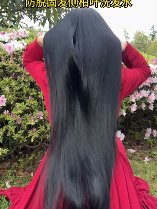 掉发救星!侧柏叶洗发水控油蓬松不掉发 头发掉发爱出油、易扁塌?这款洗发水控油蓬松又去屑!#国货 #洗发水 #控油洗发水 #蓬松 #谁家还没个“洗”事了