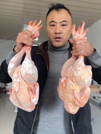 新鲜母鸡顺丰到家,包邮还能退! 散养一年以上大公鸡,包邮到家!有运费险!不满意的可以退回来!#美食 #真材实料才能做出好味道 #土鸡 #散养土鸡 #被新农人的打卡视频馋到了