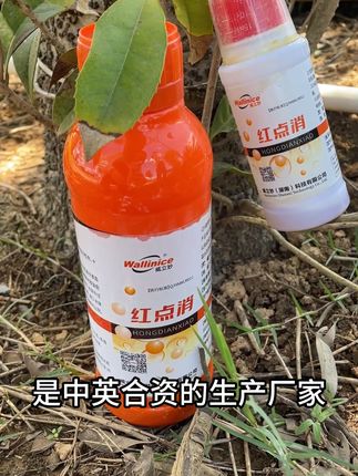 威立妙红点消85折福利,买10送1 鱼身有红点,这是锚头鳋,也是寄生,试试它#三农 #水产养殖 #鱼塘 #水产养殖技术 #养鱼日记