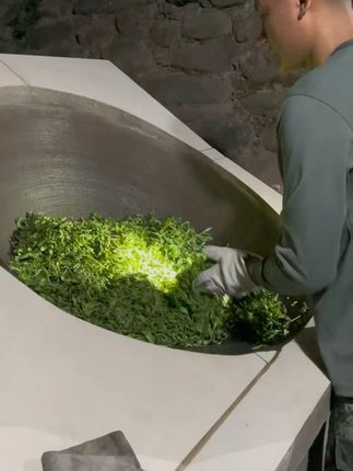 清新森林味,一口解腻提神! 手工制茶