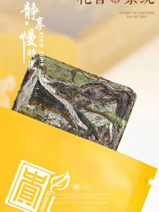 一口白茶香,解渴又养生! 福建福鼎高山生态茶园基地采摘新鲜茶叶!
