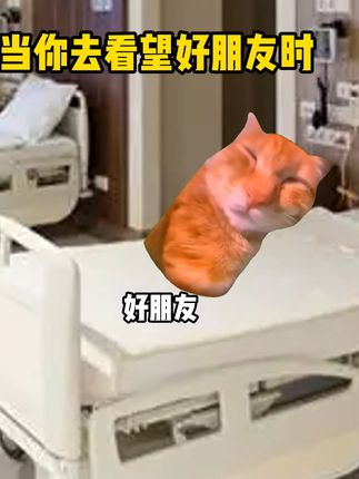 当我去医院探望朋友 #猫meme #抽象 #万万没想到 #内容过于真实 #猎奇