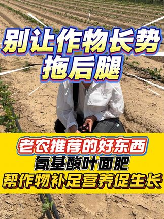 别让作物长势拖后腿! 植尤卡氨基酸叶面肥含17种游离小分子氨基酸,微量元素锌和硼,不仅能让蔬菜叶片油亮高产,还能促根系发达、抓土稳!!#三农 #农业种植 #厂家直发品质保证 #农资肥料 #叶面肥