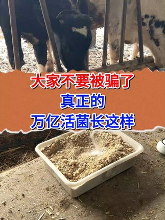 怀孕母畜也能用! 养殖专用益生菌,一袋拌料一吨#养殖小妙招#猪牛羊鸡鸭鹅#饲料#益生菌兽用#万亿活菌