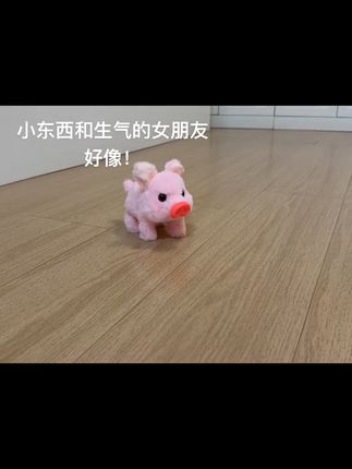 宝宝一见就爱不释手的小猪电子宠物来啦! 这个小玩意儿太好玩了!一按开关就能动还能发声,孩子超喜欢!#儿童玩具#小猪#毛绒玩具#玩偶#过家家