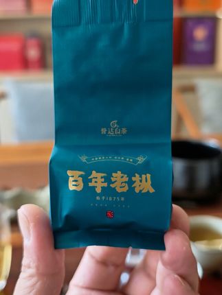 老白茶的秘密,一口回甘,百年老枞寿眉等你来尝! 茶叶界“活化石”!福鼎白茶中的稀世珍品,喝过一次就忘不了!#茶生活#中秋送礼#老白茶#送礼#你的中秋团圆搭子前来报到
