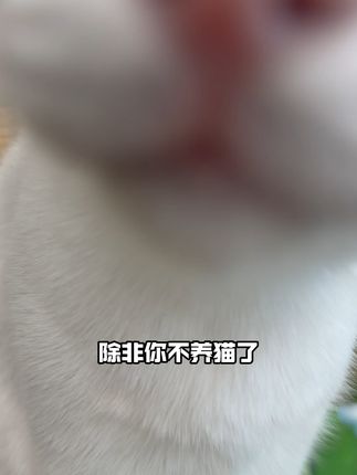 猫咪爱上新口味!酥脆猫粮让挑食猫猫大满足 酥醒家也来卷礼包了!有主粮有猫条!八件主食只要9.9!#酥醒猫粮 #酥醒 #猫条 #云杉排毛冻干 #科学养宠攻略